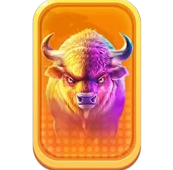 Buffalo
King